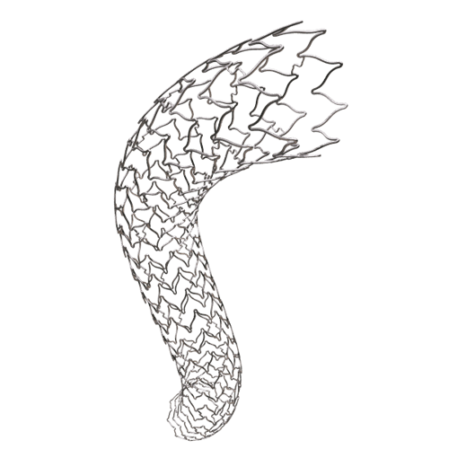 Bentley – BeSmooth peripheral stent graft system